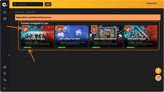completion badges